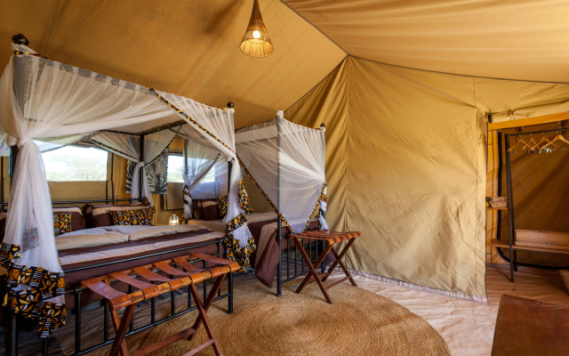 Gnu Ndutu Camp