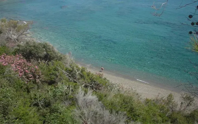 Eden Beach