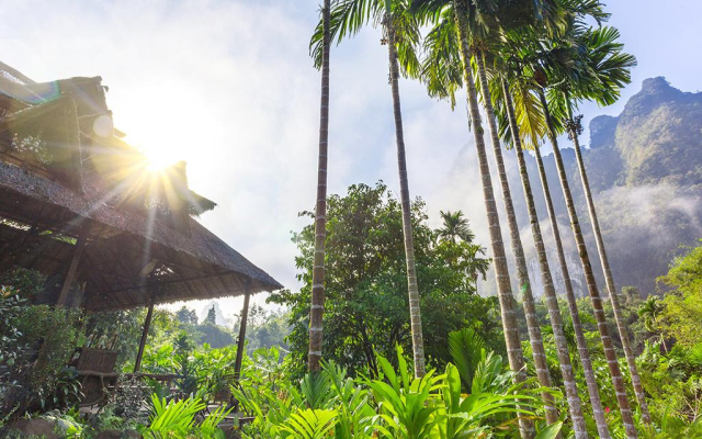 Elephant Hills Khao Sok