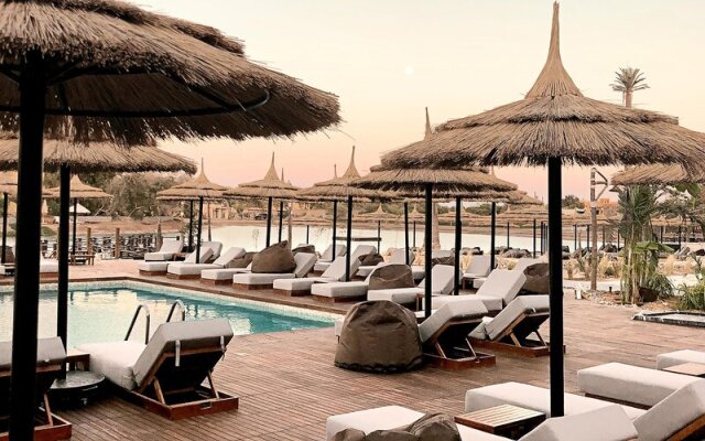 Cook's Club El Gouna - Adults Only