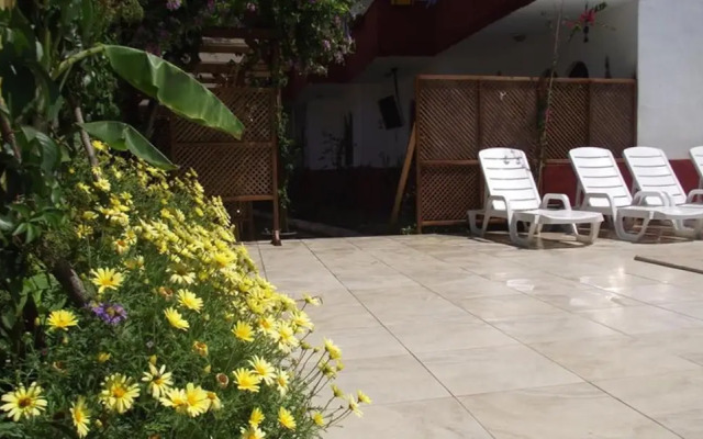 Waking Life Hotel