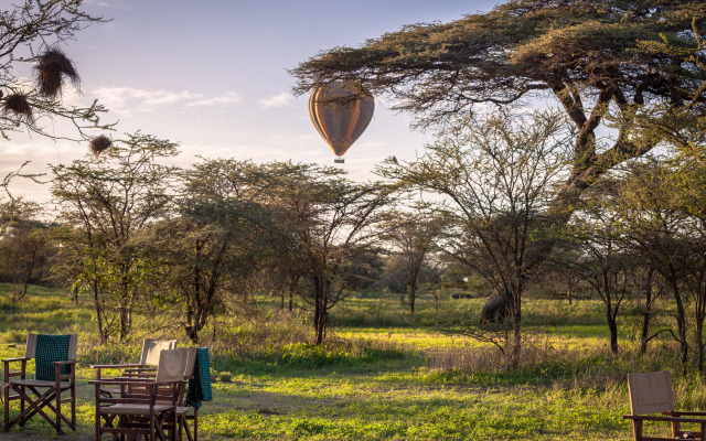 Gnu Ndutu Camp