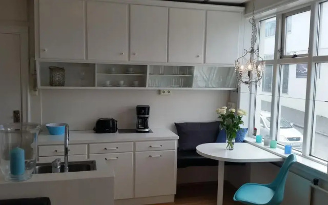Barónsstígur Apartments