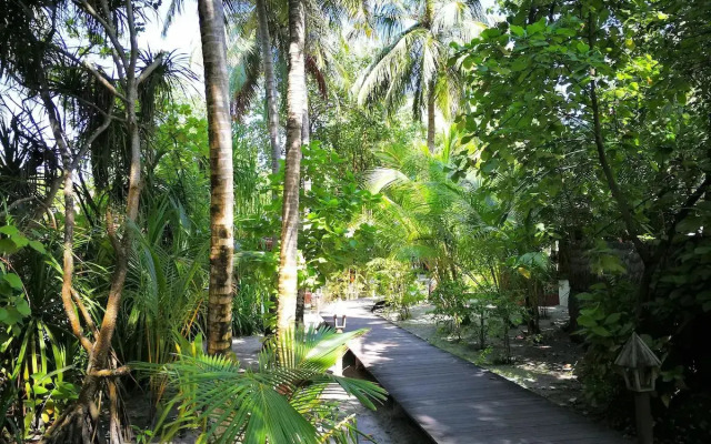 Gangehi Island Resort