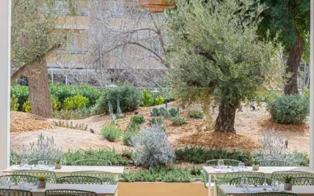 MarSenses Rosa del Mar Hotel & Spa