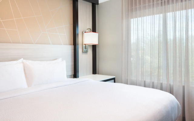 Springhill Suites By Marriott Conyers