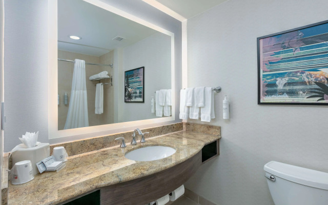 Hilton Garden Inn Dallas/Arlington