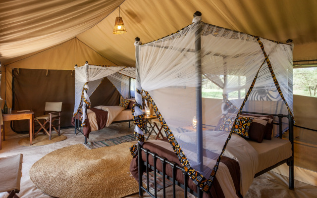 Gnu Ndutu Camp