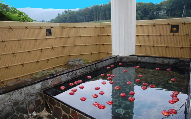 Hotel Hakuba Century