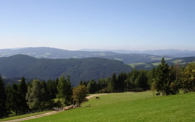 Feldkasten Biohof Lurger