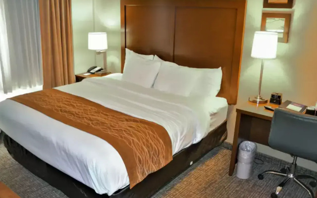 Comfort Inn & Suites Vancouver Downtown City Center