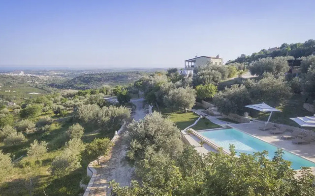 Tenuta Olive Alive