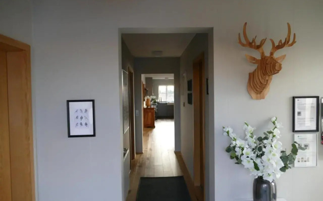 Lax-á Geysir Cottages