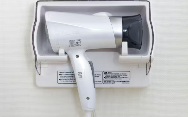 Premium Plus Single room 사진 4