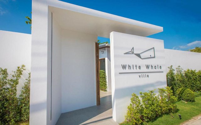 White Whale Beachfront Pool Villa