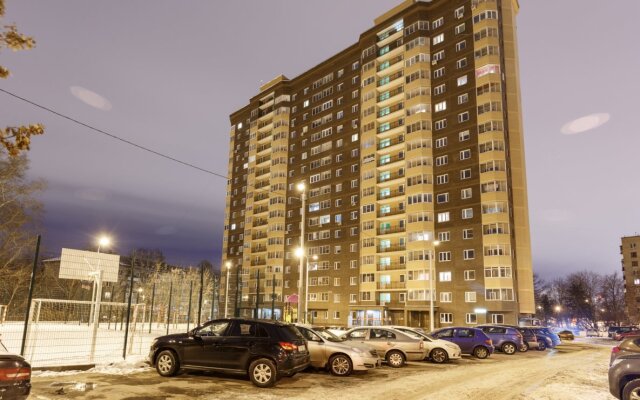 Na Moskvina Apartments