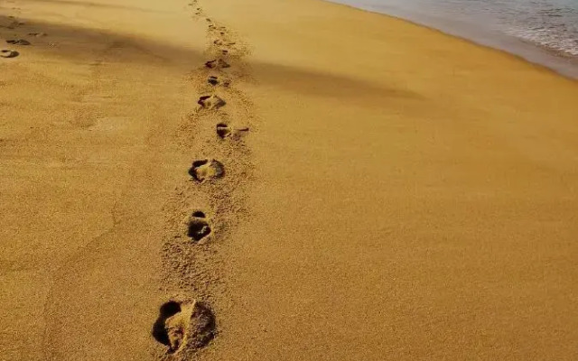 Orchidilla Residence Mai Khao Beach Phuket