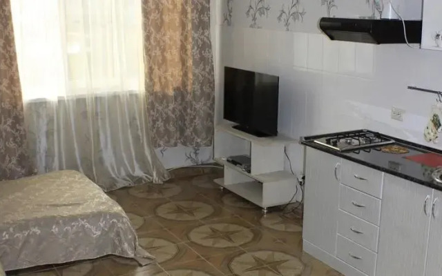 Apartment on Kamyshovaya 41, apt 19