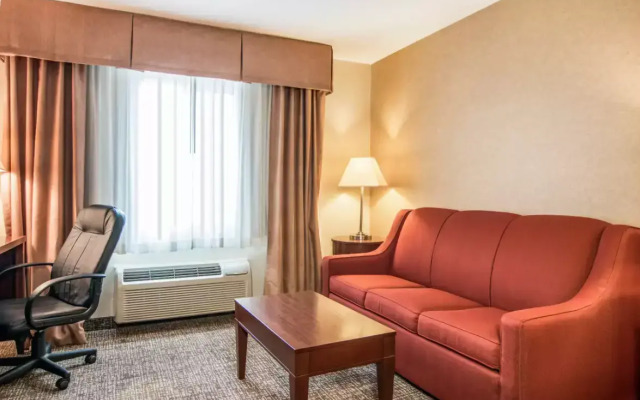 Comfort Inn & Suites Vancouver Downtown City Center