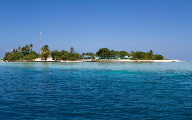 Tropic Tree Hotel Maldives