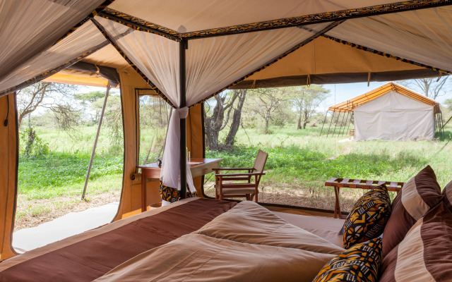 Gnu Ndutu Camp