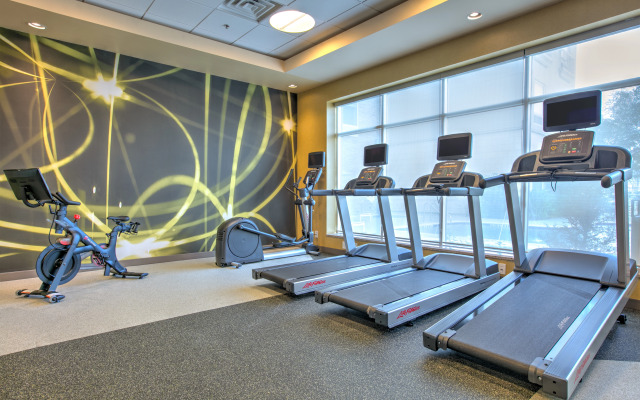 Hilton Garden Inn Dallas/Arlington