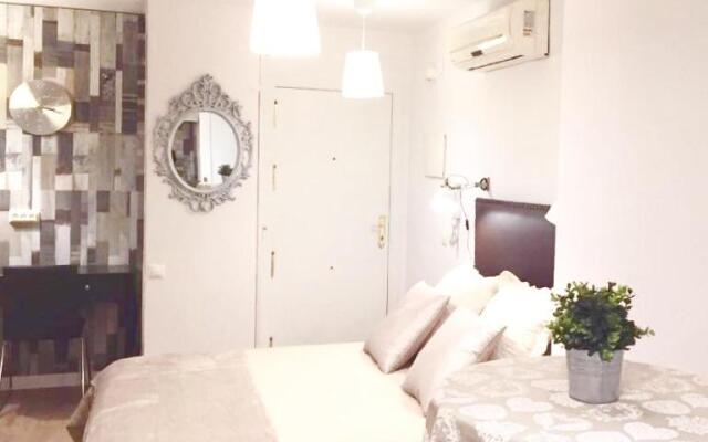 Skysea Malaga Centro frente al Rio