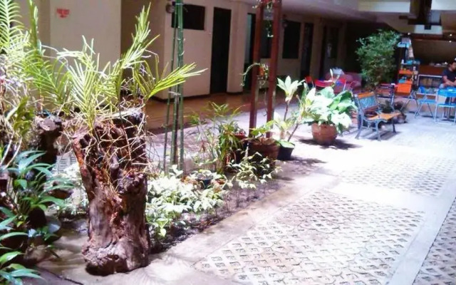 Hotel White Plazo