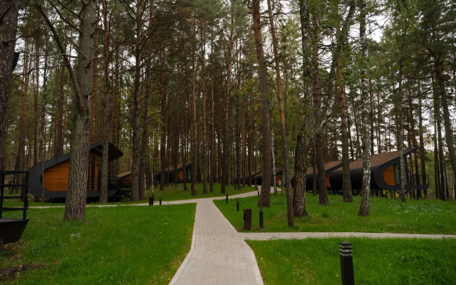 ForRest (Форест)