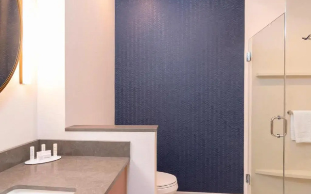 Fairfield Inn & Suites by Marriott Fair Oaks Farms