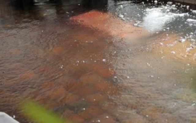 Tomada Onsen Iyashi no Yado Sensui