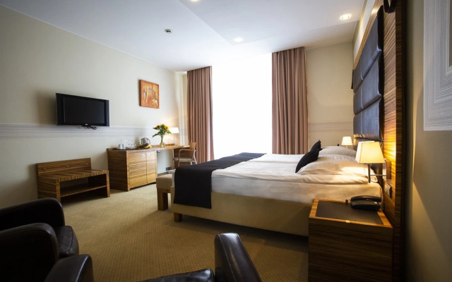 Business Double room (full double bed) (bed type is subject to availability)