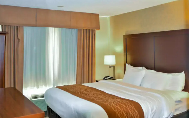 Comfort Inn & Suites Vancouver Downtown City Center