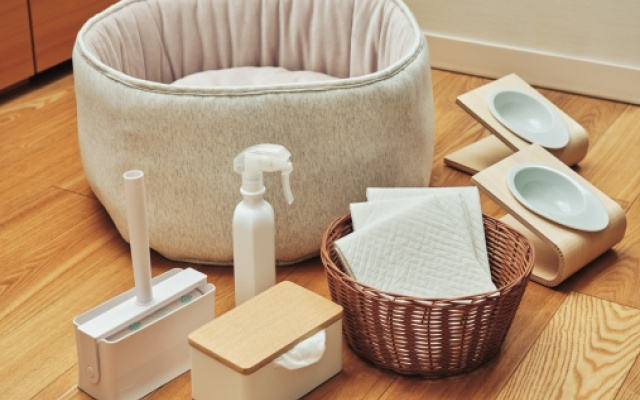 Dog Friendly Twin room (트윈 침대 2개) 사진 2