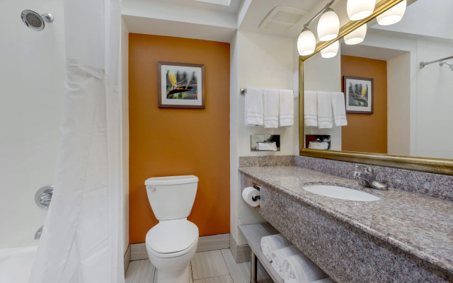 Best Western Plus Rockwall Inn & Suites