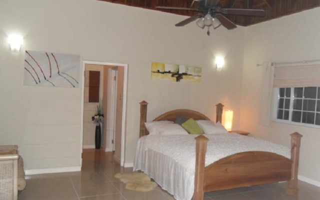 5 Br Seaview Villa with Pool - Ocho Rios - PRJ 1255