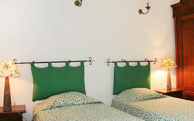 Falcognana - INH 22666