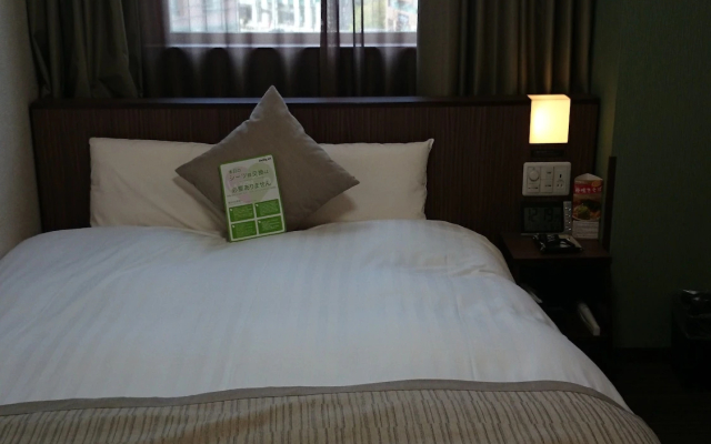 Dormy Inn Premium Kanda