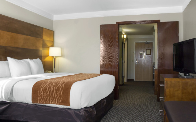 Comfort Inn & Suites Durango