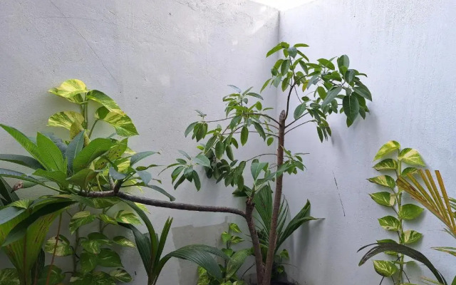 Thundi village and spa