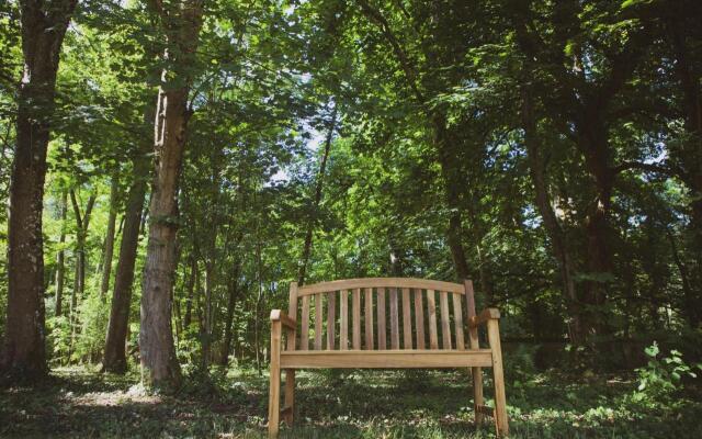 Chambres dHôtes - Domaine de Montizeau