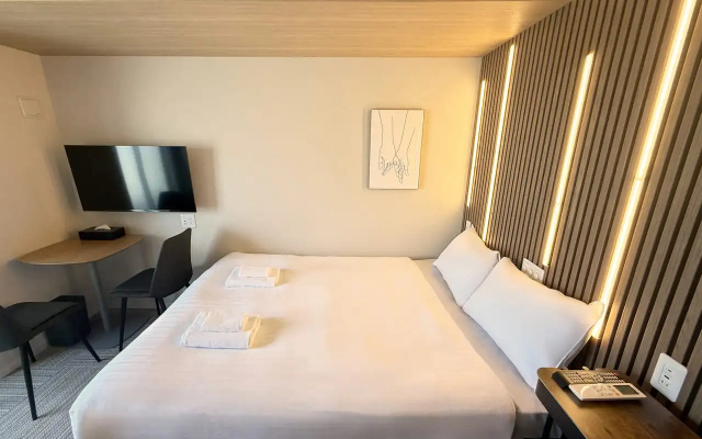 Large Double room (풀 더블 침대) 사진 3