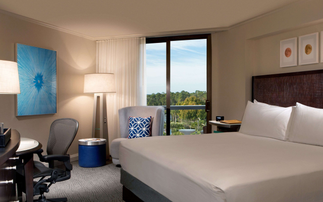 Hilton Orlando Buena Vista Palace - Disney Springs® Area