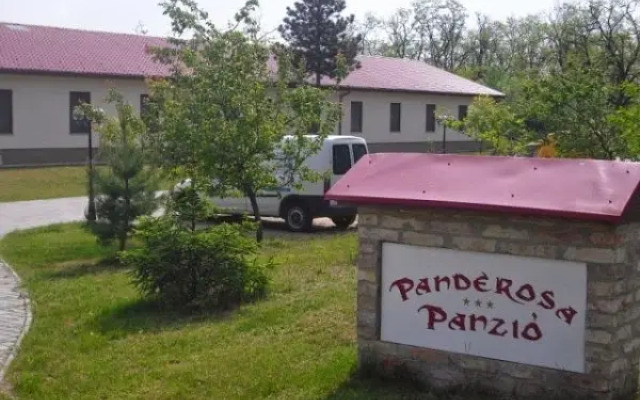 Hotel Panderosa Panzio