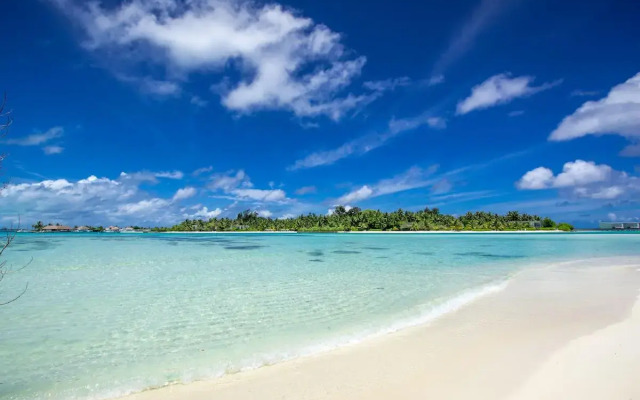 Ithaa Beach Maldives 