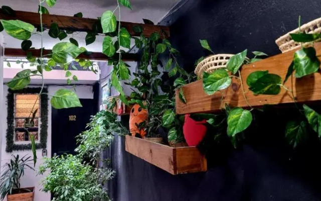 Mini Hotel | San Luis Potosí