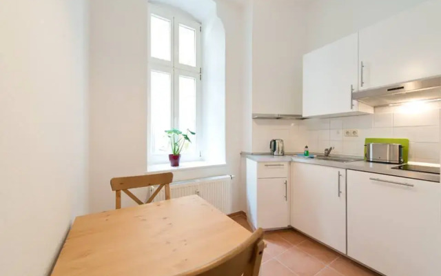Numa Berlin Kater