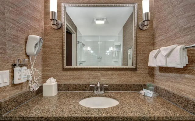Holiday Inn Detroit Metro Airport by IHG