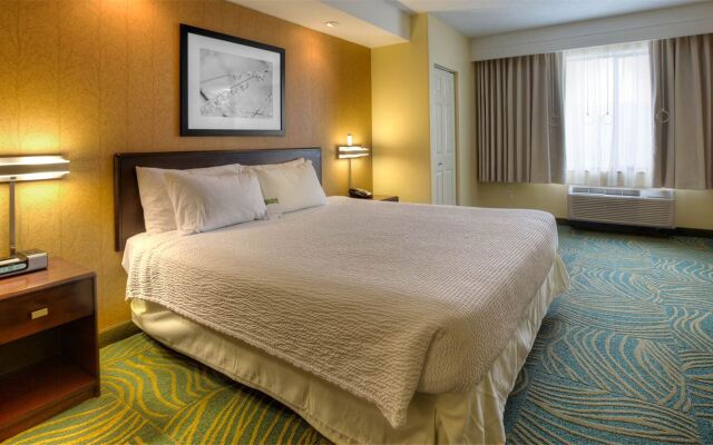 Springhill Suites by Marriott Tampa Brandon