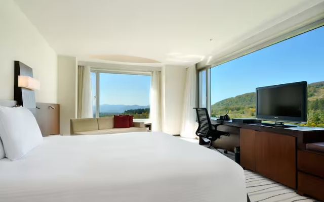 Deluxe Panorama Double room (풀 더블 침대) 사진 1